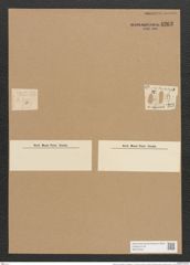 Nitzschia microcephala var. elegantula V. H. (de-Toni-Nr.: Genus 47, Species 2126) Zeichnungen Sammlung Grunow Nr. 4263 (NHMW-BOT-W0372242)